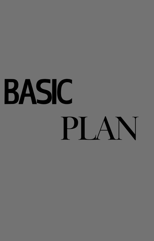 Basic Plan